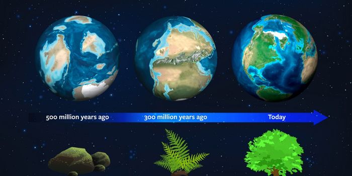 Earth's History May Hold Clues About Where to Look for Otherworldly Vegetation