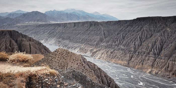 Machine Learning Reveals New Insights into Soil Erosion Risk