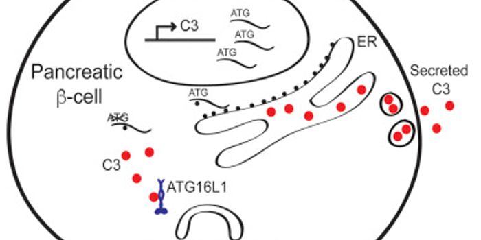 Complement Function Expands