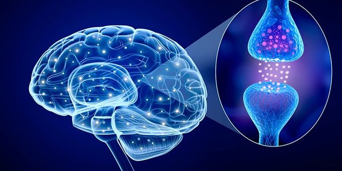 Pharmacological Manipulation of a Brain-Signaling Mechanism Reverses An Autism-Related Pathway