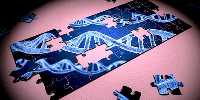 'Jumping' Genes Can Regulate Gene Expression in Human Neurons