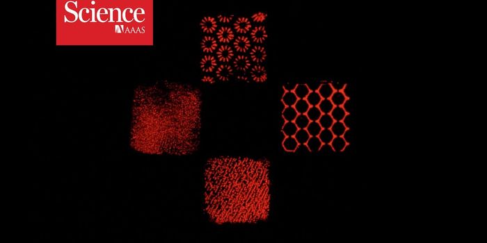 Building Artificial Tissues, Tetris-Style