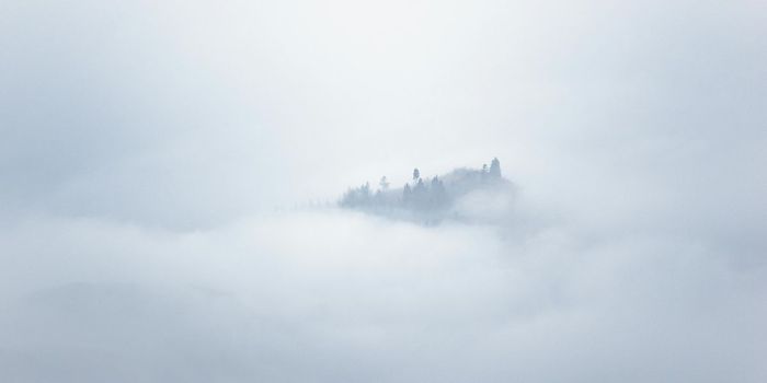 Adverse Childhood Experiences Linked to  Adult Psychiatric Disorders