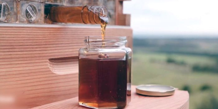 This Man-Made Beehive is Every Bee-Keeper's Dream