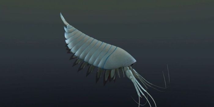 Ancient Arthropod Named For Mythological Predator