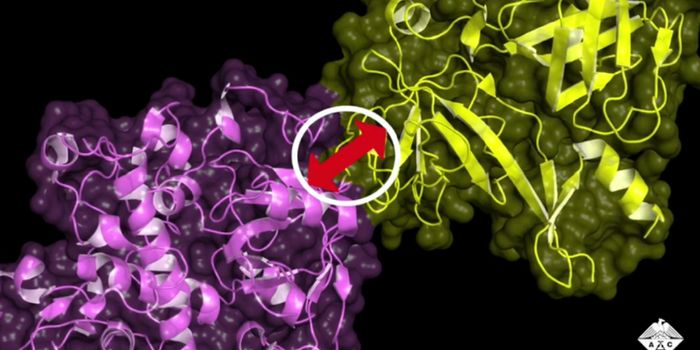 Novel Imaging Technique Enables Real-time Monitoring of Drug-induced Protein-protein Interaction
