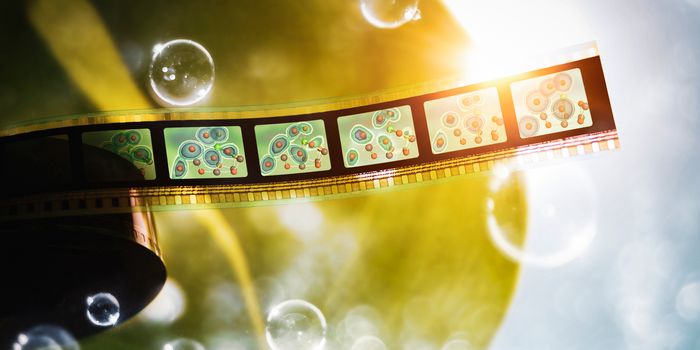 Secrets of Photosynthesis Protein Complex Revealed