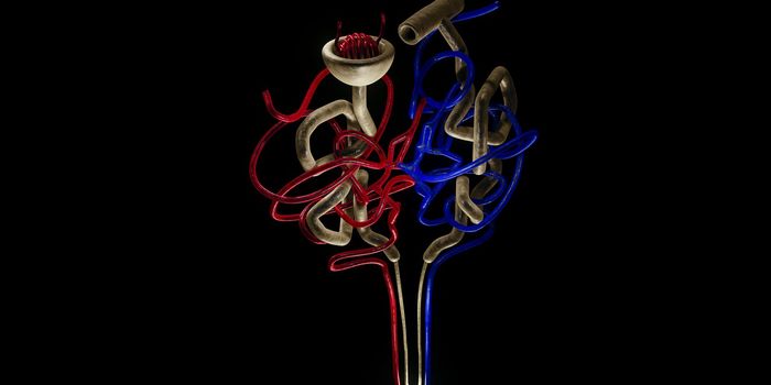 Artificial Organs as an Alternative Option to Transplant