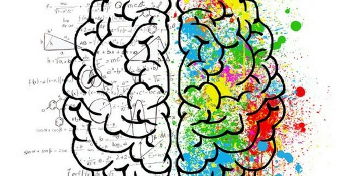 Decoding The Brain: Can Your Thoughts Be Read?