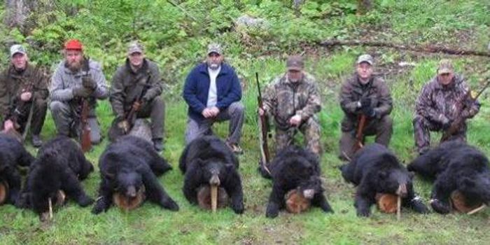 A bear hunt in Florida