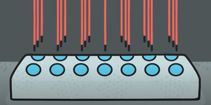 Making Capillary Electrophoresis Accessible for Any Lab