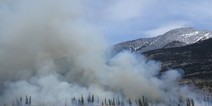 Wildfire Smoke Costs Thousands of Human Lives and Billions of Dollars