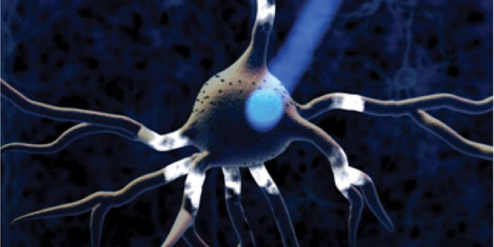 Let There Be Light... To Repair Neurons?