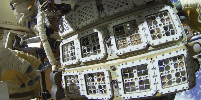 Kombucha - In - Spaaaaaace!