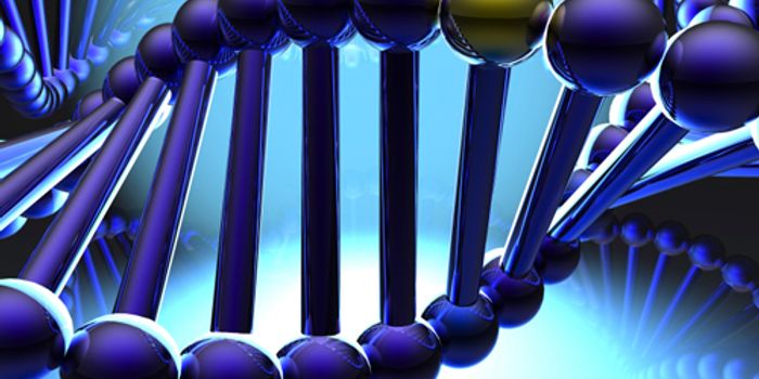 The Changing of the Seasons Affects Your Genes