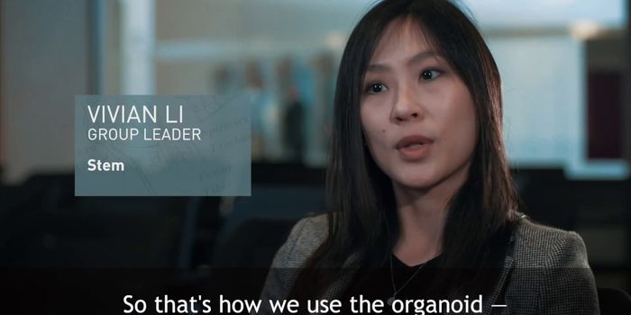 Mini Human Organs - In a Dish