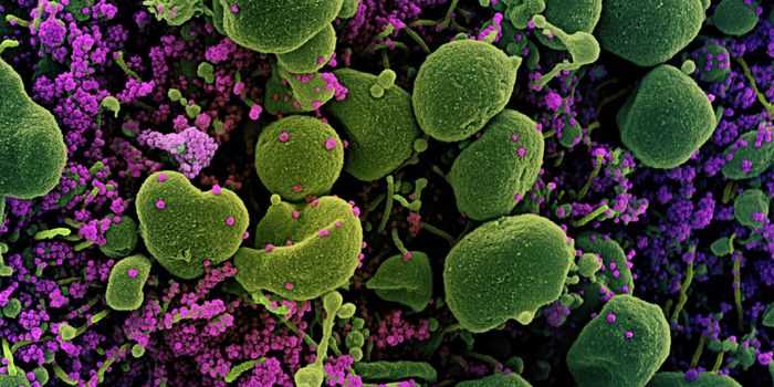 Evidence Continues to Support Universal Masking in the Fight Against COVID-19