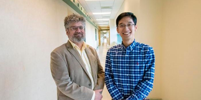 3D Molecular Maps of the Brain: Unveiling Complexity with Spatial Omics