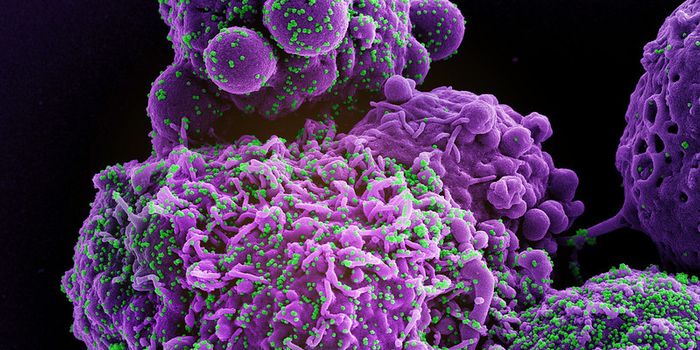 Worldwide COVID Cases are Rising as a New Variant Spreads