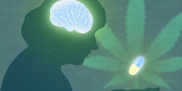 CBN: A Potential Neuroprotective Compound from Cannabis