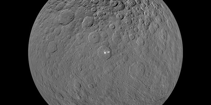 Ceres: King of the Asteroid Belt