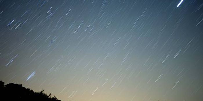 Life came to Earth on a meteorite, say scientists