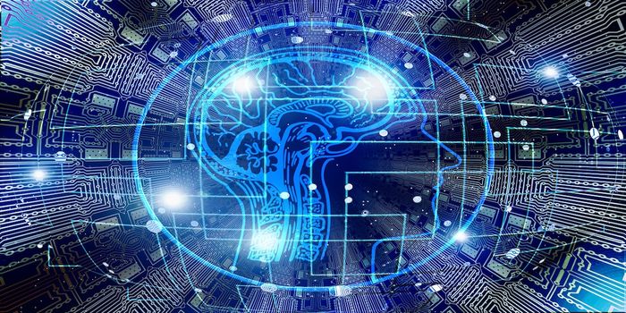 Why Scientists are Growing Brains in Petri Dishes