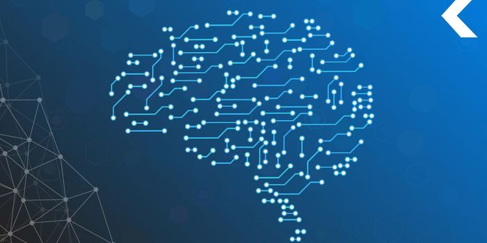 Connecting Our Brains to the Internet?