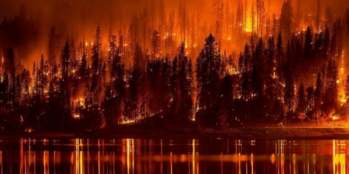 Wildfire Health Hazards Include Airborne Microbes