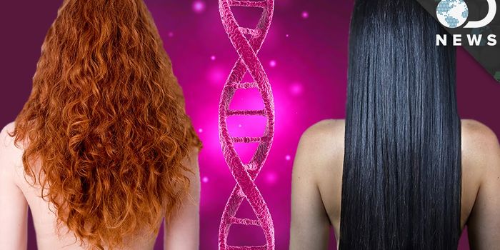 Why Do We Have Hair?