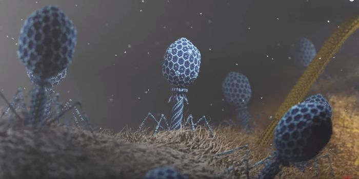 Viruses Can Escape the Effects of CRISPR by Shielding Their Genomes