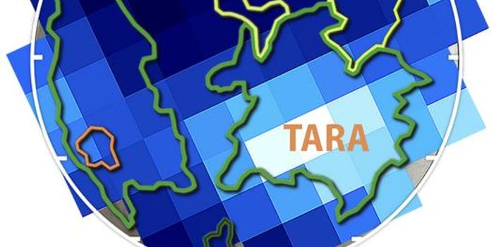 Chaos Terrain on Europa Offers Clues to Subsurface Ocean