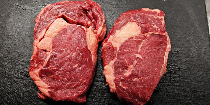 Growing a Better Lab-Based Meat