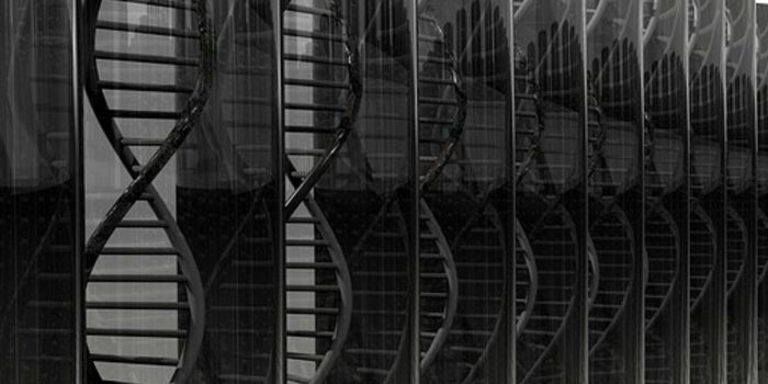 Over 7,200 Segments in the Human Genome May Code for Novel Proteins