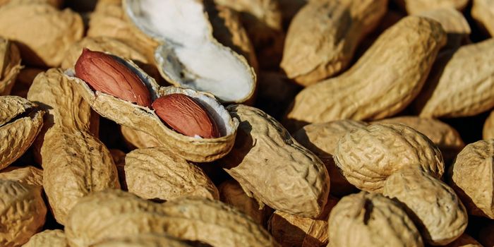 Peanut Allergy Can be Prevented by Feeding Infants Peanuts, a New Study Suggests