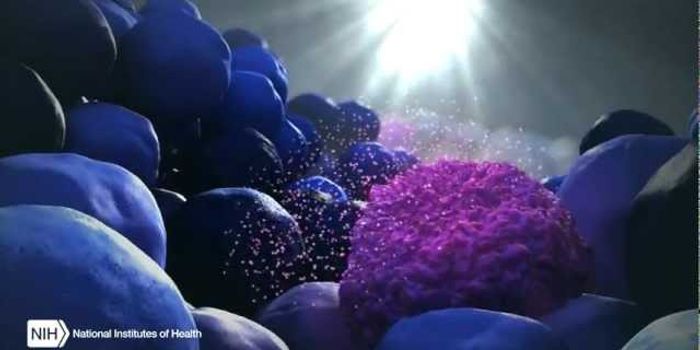 Unlocking the Mysteries of Extracellular RNA Communication