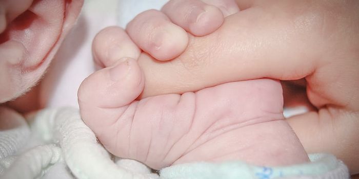 Why Can Old Mothers Keep Producing Offspring?