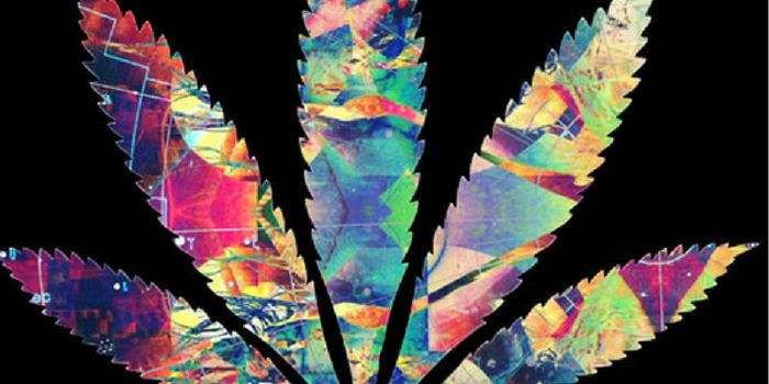 "Psychoactive" Semantics of Cannabinoids