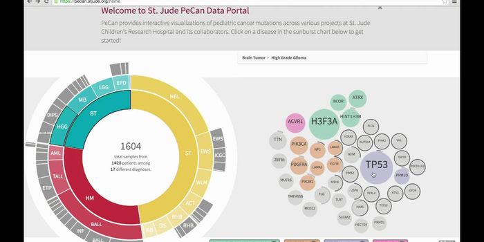 Using Deep Data for Cancer Research