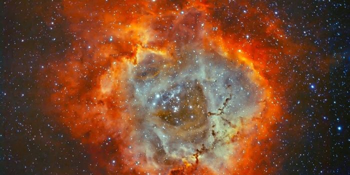 The Rosette Nebula in Hydrogen and Oxygen