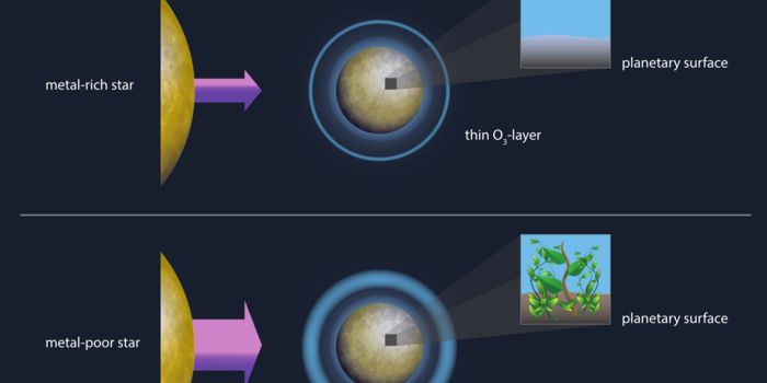 Stars With Less Metal Allow for Greater Ozone Layer on Their Planets