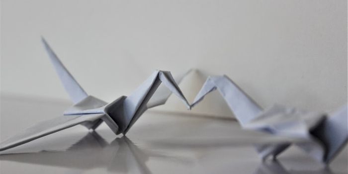 Artificial Muscle for Soft Robotics