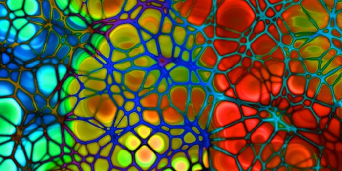 Migrating Cancer Cells Can Mend Itself After Rupture