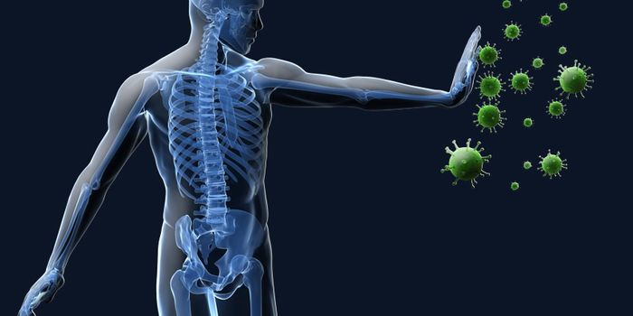 New TSRI Study Shows Path to 'Dial Down' Autoimmunity without Compromising Immune Response