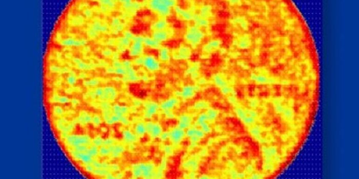 See It, Snap a Hyper-Crisp Shot, Make It