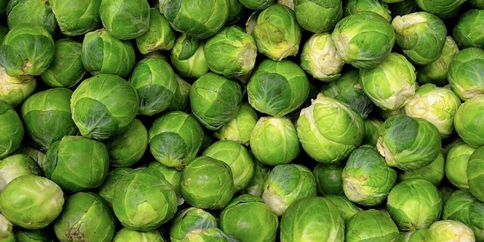 Vitamin K May Have a Central Role in Type 2 Diabetes