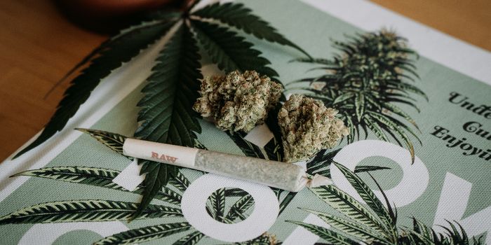 High Stress and Self Medication: Variables of Teenage Cannabis Use and Mental Health