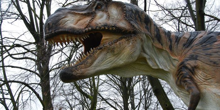 New Study Suggests T. Rex Wasn't Feathered After All