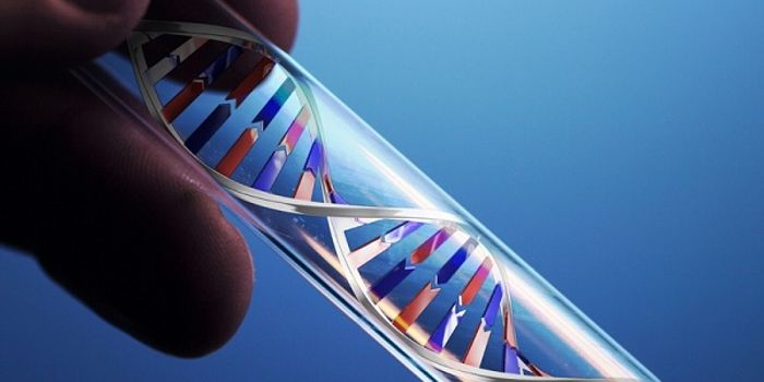 FDA Greenlights First Direct-to-Consumer Genetic Carrier Test for Bloom Syndrome