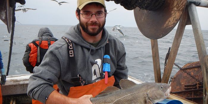 Ocean temperatures rising three times faster in the Gulf of Maine